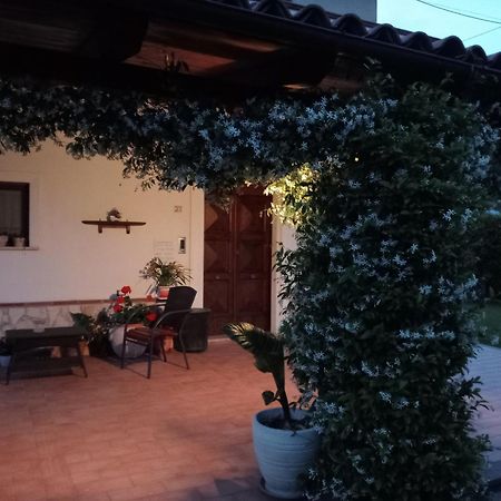 B&B Il Tiglio パドゥーラ エクステリア 写真
